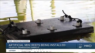 Ocean Habitats announces 1,000 mini reef challenge announced for Collier County