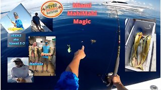 Miami MahiMahi Magic in the Summertime |Small Boat Fishing Channel