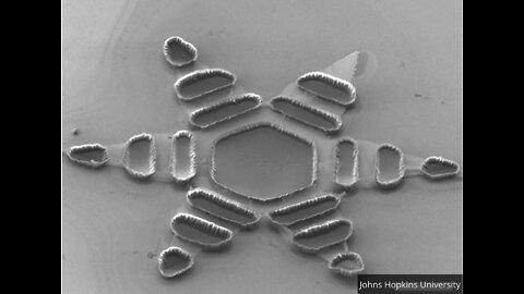 blood-brain barrier terragrippers in the masks