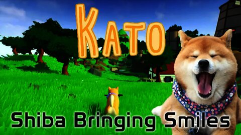 Kato - Shiba Bringing Smiles