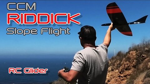 CCM RIDDICK, 1.2M RC Flying Wing Slope Flight