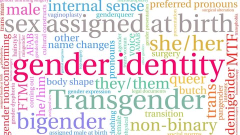 Gender Identity & Trans Rights - A Discussion with Hontas Farmer