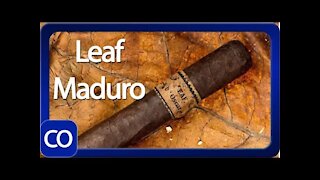 Leaf by Oscar Maduro Toro Cigar Review