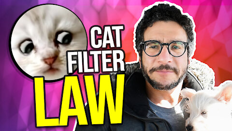 Cat Lawyer Filter is the GREATEST Video Ever! Viva Frei Vlawg