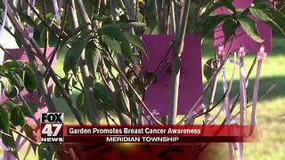 Meridian Township garden promotes breast cancer awareness