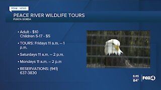 Peace River Wildlife tours