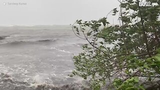 Ciclone Nisarga deixa rastro de destruição na Índia