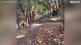 Vuole fare lo spavaldo con la bici, ma cade davanti alla telecamera