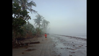 Foggy Seashore