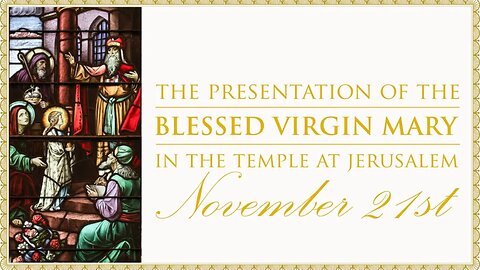 The Daily Mass: The Presentation of the Blessed Virgin Mary