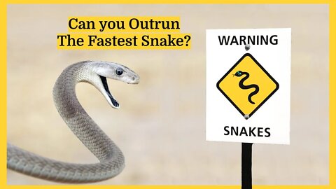 How Fast Can Snakes Move?