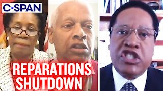 Larry Elder SHUTS DOWN Reparations Bill at Congressional Hearing | Larry Elder