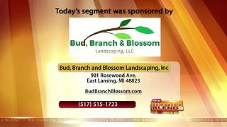 Bud, Branch and Blossom Landscaping- 5/17/18