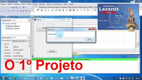9- Primeiro Projeto, Colocando Controles, Escrevendo Códigos, Executando, Salvando, PDF em Português
