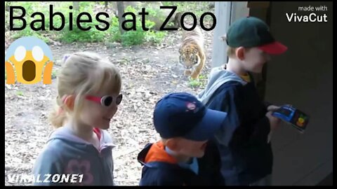 TRY NOT TO LAUGH " Funny Babies at Zoo"