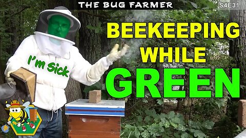 Food Poisoning | Beekeeping while green | #beekeeping #Lefree #Gardenhose #expandablegardenhose