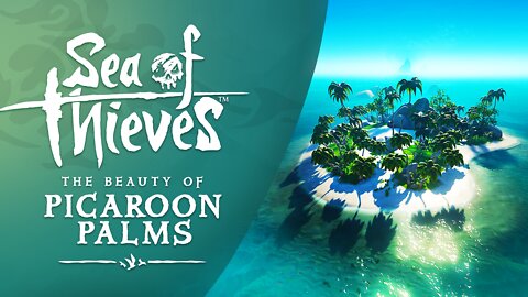 Sea of Thieves: The Beauty of Picaroon Palms