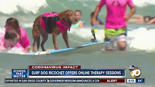 Ricochet the Surf Dog offers online therapy sessions during Coronavirus Pandemic