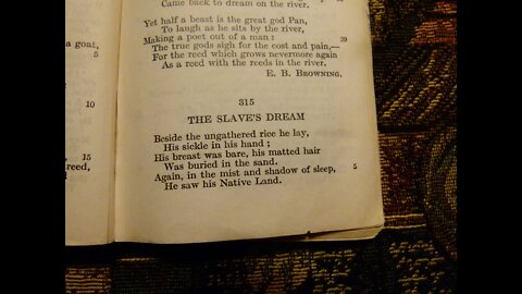 The Slaves Dream - H. W. Longfellow