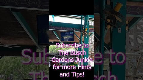 Busch Gardens Junkies Hints and Tips #buschgardens