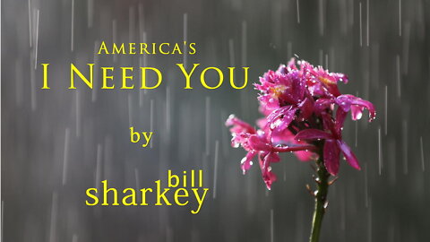 I Need You - America (cover-live by Bill Sharkey)
