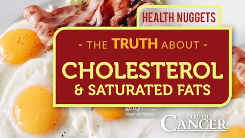 The Truth About Cancer Presents: Health Nuggets - The TRUTH About Cholesterol & Saturated Fats
