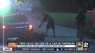 Teen killed when tree falls on car identified