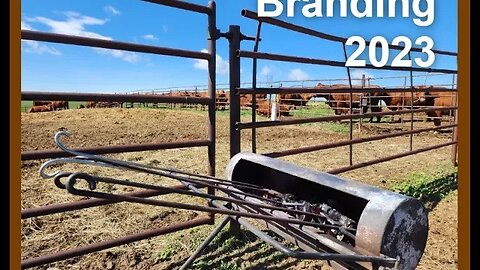 Branding 2023 on the Hashknife Ranch!