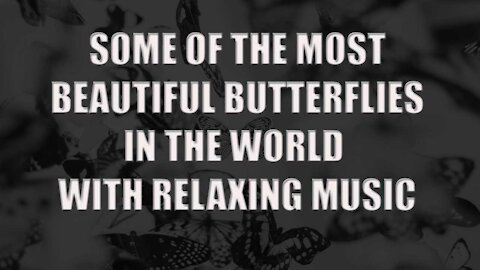 Some Of The Most Beautiful Butterflies In The World With Relaxing Music.