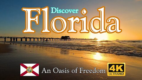 Discover FLORIDA - Moving to or Visiting The Sunshine State