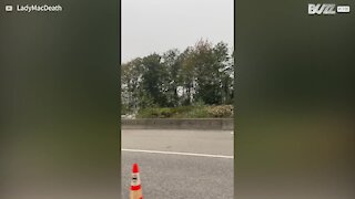 Motorista registra acidente de trem no Canadá 7