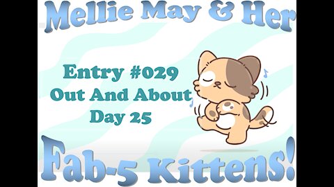 Video Diary Entry 029: They Are All Out And About! Got Kittens? Go to Kitten Lady Channel- Day 25