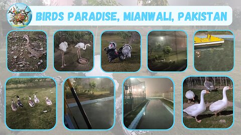 Exploring the beautiful natural voices of Birds Paradise in Mianwali, Pakistan!