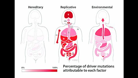 Dodging Cancer; genetic testing. Does "cancer run in the family"?