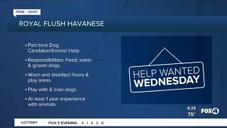 Companies hiring in Southwest Florida