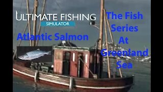 Ultimate Fishing Simulator: The Fish - Greenland Sea - Atlantic Salmon - [00084]