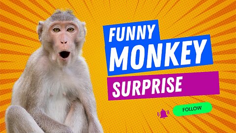 Monkey Surprise: Hilarious Encounter and Escape!