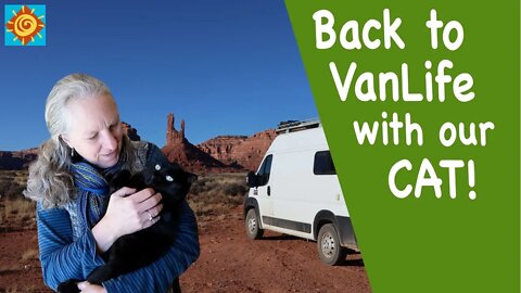 Returning to VANLIFE with our CAT | Living OFF GRID LIVING in SW COLORADO
