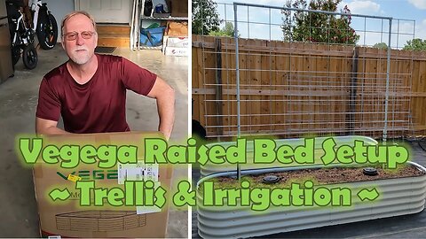 Vegega Raised Beds: Trellis & Irrigation