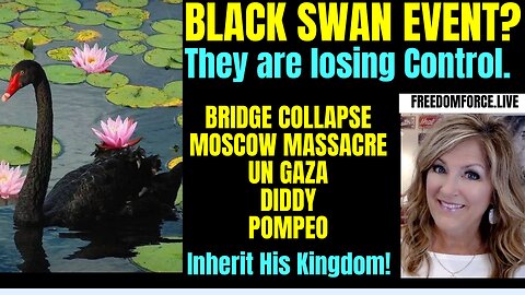 03-26-24 Black Swan - Bridge Collapse, Diddy, Moscow, Assange -Kingdom