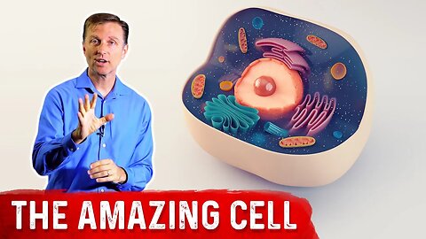 The Human Cell Structure: Parts & Anatomy Of A Cell – Dr. Berg