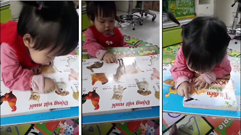 The little girl learns to recognize animals by images
