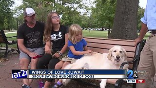 Wings of Hope Kuwait saving hundreds of dogs