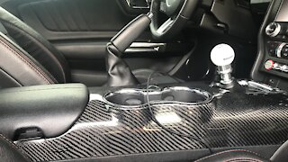 Mustang Interior Upgrades ***CARBON FIBER***