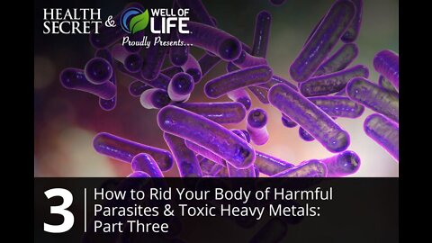 Part 3 - How To Rid Your Body of Harmful Parasites & Toxic Heavy Metals