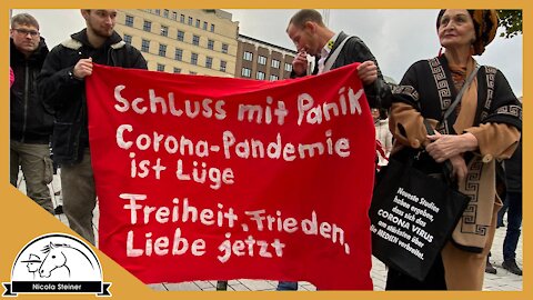 Chaos in Düsseldorf: Wo ist denn nur die Demo? Ein direktes Lied und demonstrierende Enten & Gänse