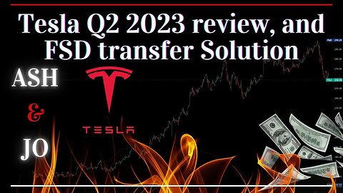 Tesla Q2 2023 review, and FSD transfer Solution
