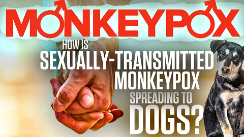 Monkeypox | How Is the Sexually-Transmitted Monkeypox Spreading to Dogs? | "Even Though the Monkeypox Outbreak Is Spreading In Men Who Have Sex with Men, Anyone Who Is In Contact with Someone Who Has Monkeypox Can Also Be Exposed."