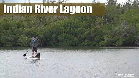 Paddleboard Fishing the Florida Indian River