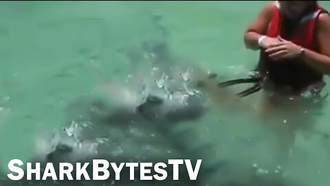 Submarine Shark Caught on Video - Shark Bytes TV Episode 8 - Surprise Shark Attacks Girl